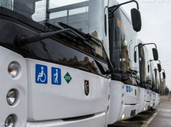Без полюбившихся шаттлов на «Ростов-Арену» оставили власти футбольных болельщиков 