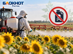 Почти 200 нарушений нашли при обработке сельхозугодий пестицидами в Ростовской области 