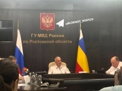 На Дону полицейским возвращают сумму предложенных взяток и депортируют мигрантов 