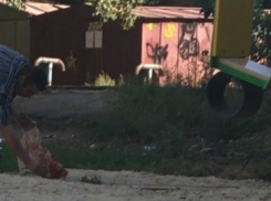 «Котику нужнее»: ворующего свежий песок с детской площадки мужчину оправдали жители Ростова