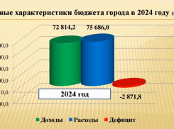 Власти Ростова-на-Дону ожидают увеличения налоговых и других доходов в бюджет города