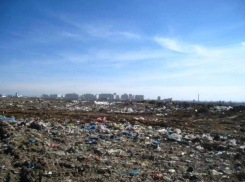 Полигон ТБО в Ростове-на-Дону рекультивируют в 2024 году за 2,4 млрд рублей