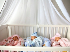 Одиннадцать тройняшек появились на свет в Ростовской области за 2016 год