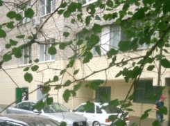 Вредными советами засыпали оскорбленную шумным автомобилистом молодую мать жители Ростова