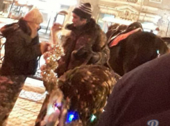 Африканская птица, разгуливающая в гирляндах по центру Ростова, взбудоражила горожан