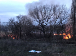 В Ростове спасатели вытащили пьяного мужчину из горящего камыша