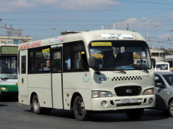 На двух маршрутах в Ростове сменили перевозчика