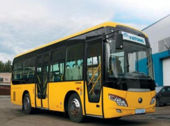 Заменить грязные маршрутки автобусами с кондиционерами потребовали жители Ростова