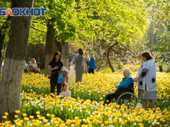 Где будут расти цветы в Ростове решат четверть миллиарда бюджетных рублей