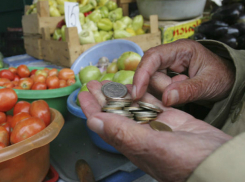 Жить стало легче: прожиточный минимум в Ростовской области снизился