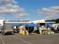 Рост цен на овощи и полная неизвестность: что ждет рынок в старом аэропорту Ростова
