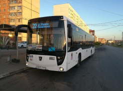 Большие автобусы возвращаются на маршрут №22 в Ростове