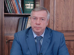 Ростовчан возмутило пожелание губернатора в соцсетях