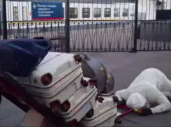 Блогер из Ростова Василенко упал на перроне и разбил свои знаменитые очки