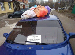 Рассвирепевшие ростовчане закидали мусором машину автохама 