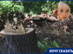 Жители Новочеркасска заявили, что под видом благоустройства вырубается парк