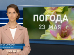 В Ростове нейросеть сгенерировала ведущую прогноза погоды по имени Аксинья Донцова