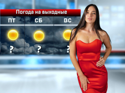 В Ростове будет солнечно и тепло до +27 градусов