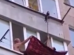 Веселое спасение зацепившегося за веревки на балконе кота в Таганроге сняли на видео