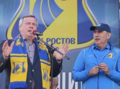 Василий Голубев перепоручил проблемы ФК «Ростова» Игорю Гуськову