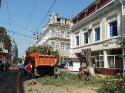 На проспекте Семашко в Ростове не осталось деревьев