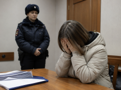 В Ростове главу фонда отправили под домашний арест из-за многомиллионной схемы с займами
