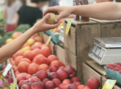 Напичканные кишечной палочкой продукты стали причиной госпитализации 210 человек в Ростовской области