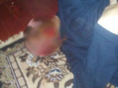 Подростки из Ростовской области, подозреваемые в жестоком убийстве мужчины, глумились над жертвой в социальных сетях