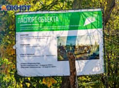 В ростовской «Дружбе» пройдет серия экскурсий и лекций в поддержку сохранения парка