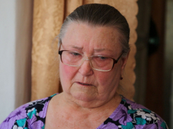 Россреестр опроверг земельные махинации в Ростовской области, но обманутая бабушка им не верит и подозревает в коррупции