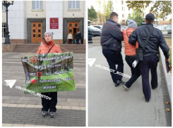Пикетчицу с плакатом против вырубки Кумженской рощи задержали в Ростове
