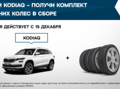 Воспользуйтесь специальными предложениями при покупке KODIAQ от Л-Моторс