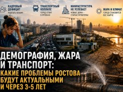 Демография, жара и транспорт: какие проблемы Ростова будут актуальными и через 3-5 лет