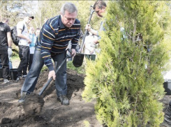 Василий Голубев предложил каждому жителю Ростовской области посадить дерево 