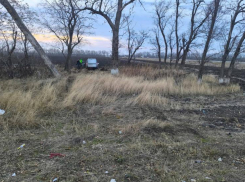 В Ростовской области водитель погиб в ДТП из-за столкновения с деревом