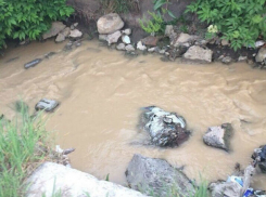 Помойная речка-вонючка, как хамелеон, меняет цвет и запах в Ростове