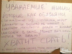Стая диких обезьян в трусах и с бананом наперевес доводит до слез чистоплотных жителей Ростова