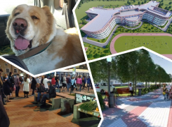 Полицейский, тяжело ранивший подростка, школа вместо рынка и год транспортной реформы: самые запоминающиеся события Ростова за неделю