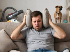 Жителей Ростовской области могут наказать за громкие ссоры и лай собак дома  