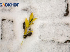 Синоптики озвучили дату вероятных снегопадов в Ростовской области