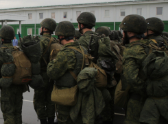 В Ростовской области на 20% выросло число подписывающих контракт с Минобороны граждан