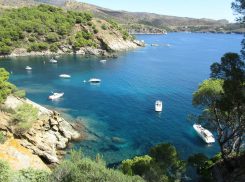 В поисках новогоднего настроения: как провести праздник на морском берегу?