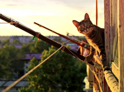 «Не выходи из комнаты, не совершай ошибку»: коронавирус лишил ростовчан майских каникул