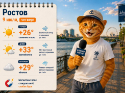 9 июля Ростов накроет зной до +33 градусов