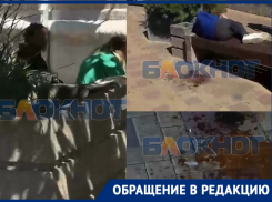 На Семашко в Ростове мужчина на инвалидной коляске собирает пьющую и гадящую толпу