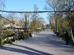 В вопросах озеленения Ростова будут учитывать мнение жителей города и экспертов