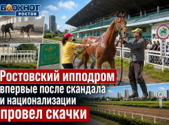 Ростовский ипподром впервые после скандала и национализации провел скачки