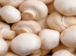 В Ростовской области задержана фура с 10 тоннами санкционных грибов