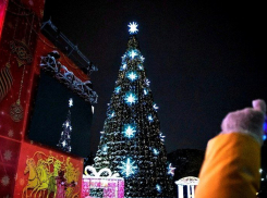 Ростовчане установят новогодние ели в пунктах временного размещения граждан