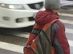 Перебегавший дорогу по зебре школьник попал под колеса иномарки в Ростовской области